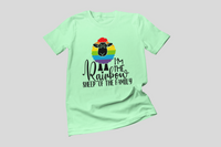 Load image into Gallery viewer, I&#39;m the Rainbow Sheep of the Family
