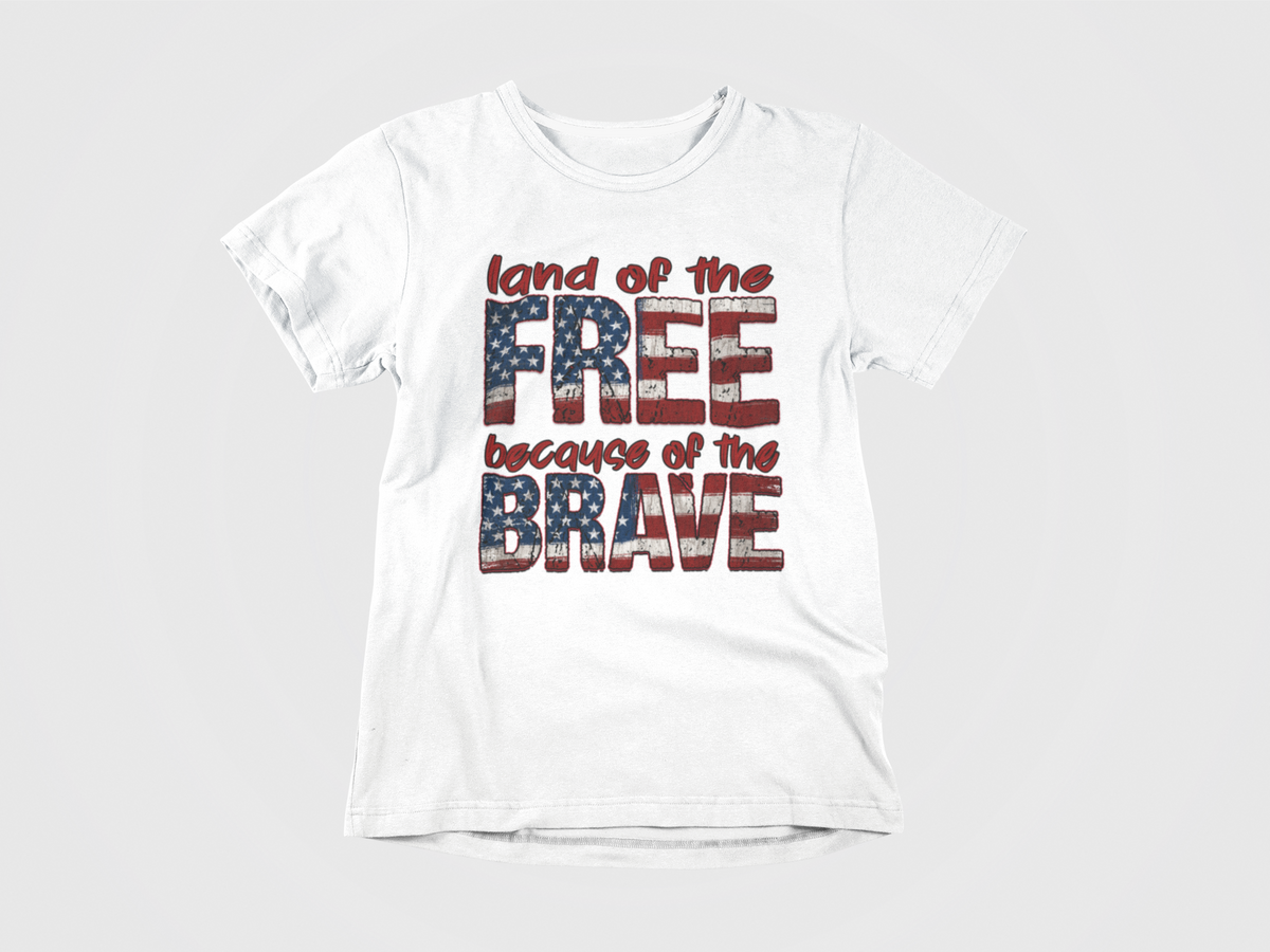 Land of the Free because of the Brave